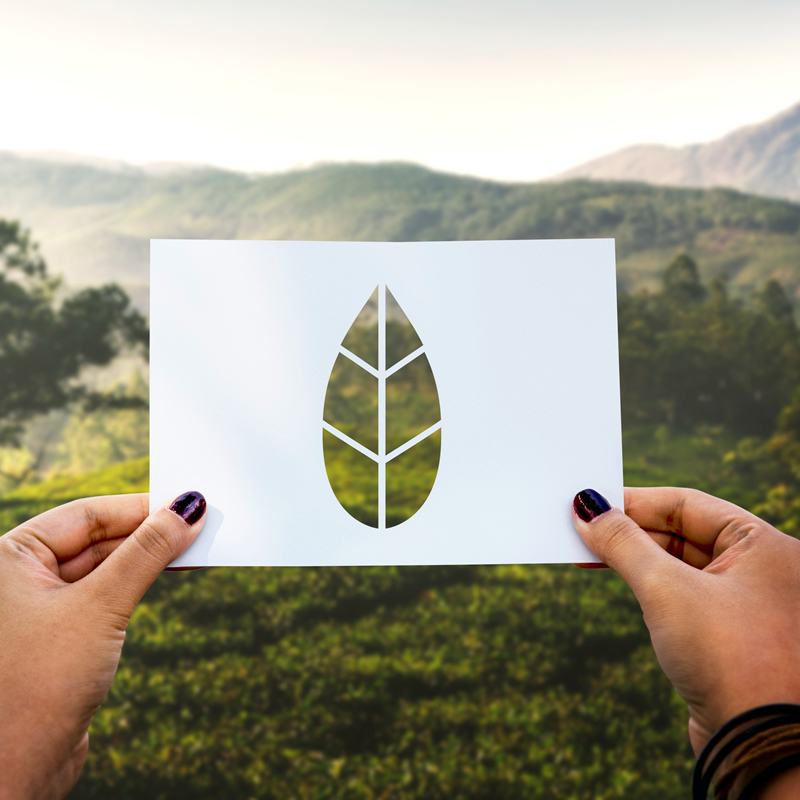 Gestión ambiental de proyectos